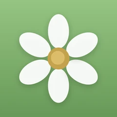 The Qualian app icon: a white six-petal daisy on a green background.